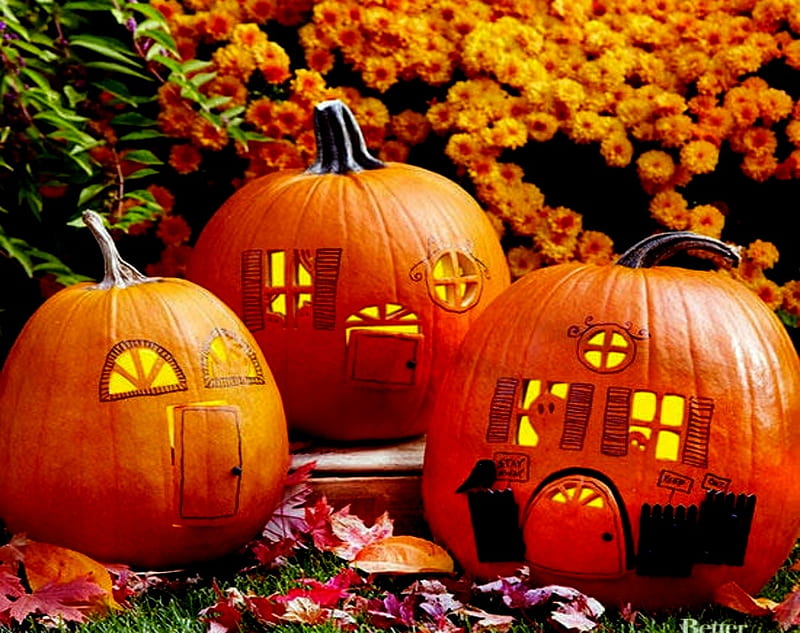 Pumpkin Houses, Houses, Flowers, Orange, Pumpkins, HD wallpaper | Peakpx