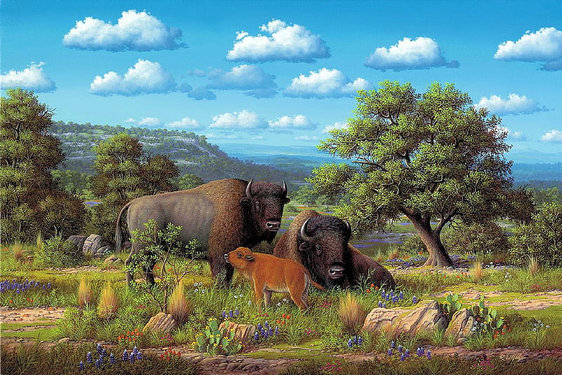Springtime Gift, hills, tree, buffaloes, calf, clouds, sky, landscape, HD wallpaper
