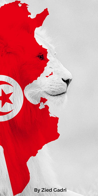 Drapeau Tunisie, flag, flags, tunis tunisie, HD phone wallpaper