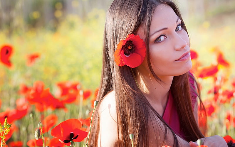 Girl Flowers Poppies Nature Hd Wallpaper Peakpx 0313