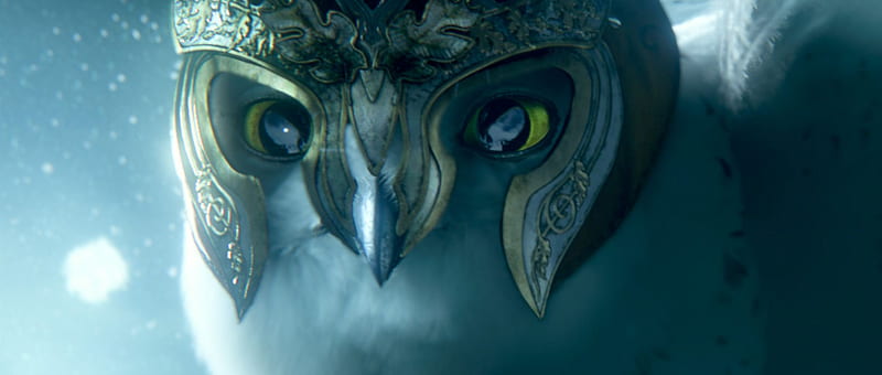 Legend of the Guardians: The Owls of Ga'Hoole (2), owl, soren, movie, novel, legend, owls, guardians, HD wallpaper