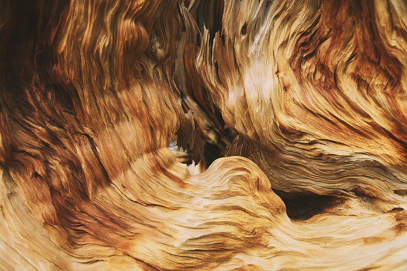 wood texture, wooden waves, macro, Abstract, HD wallpaper