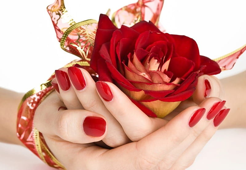 You Are Special, hands, red, pretty, rose, people, feminine, nails, HD wallpaper