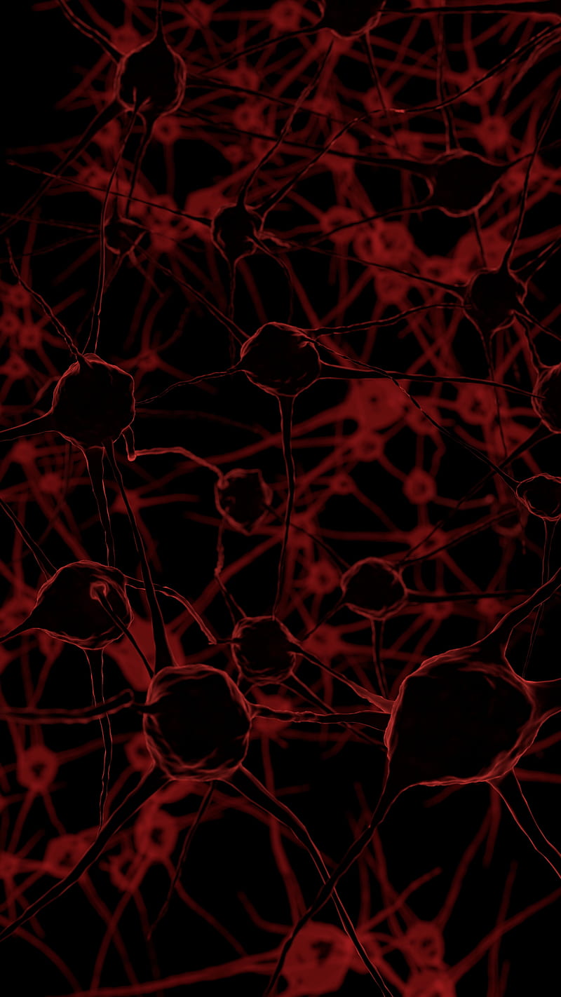Red Neurons, Anders, Anders Lunde, Red, anderslunde, blood, body, neuron, veins, HD phone wallpaper