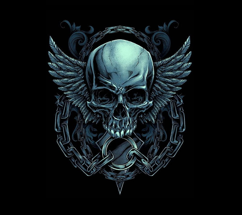 Skull, dark, wing, wings, HD wallpaper