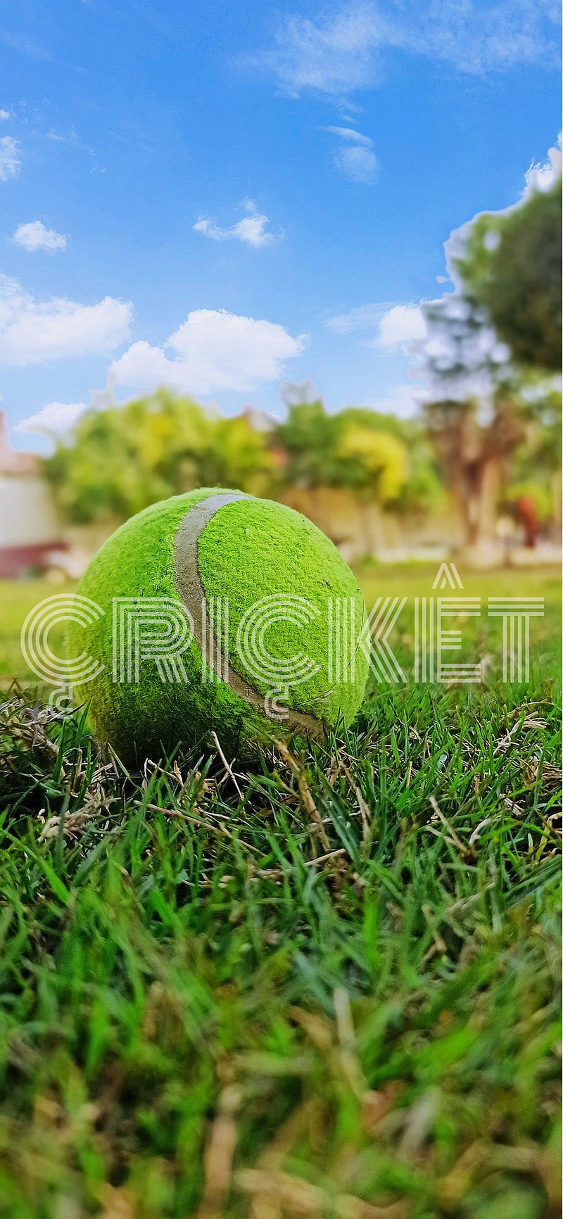 Cricket ball, bat, HD phone wallpaper | Peakpx