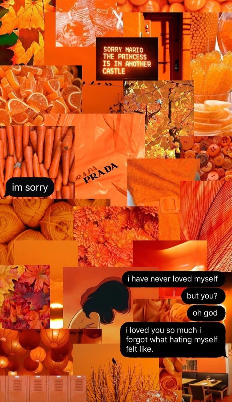 Aesthetic orange, animation, carrots, glitter, i love you, im sorry ...