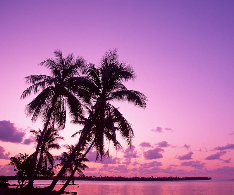 Purple Sunset 1 Hd Wallpaper Peakpx