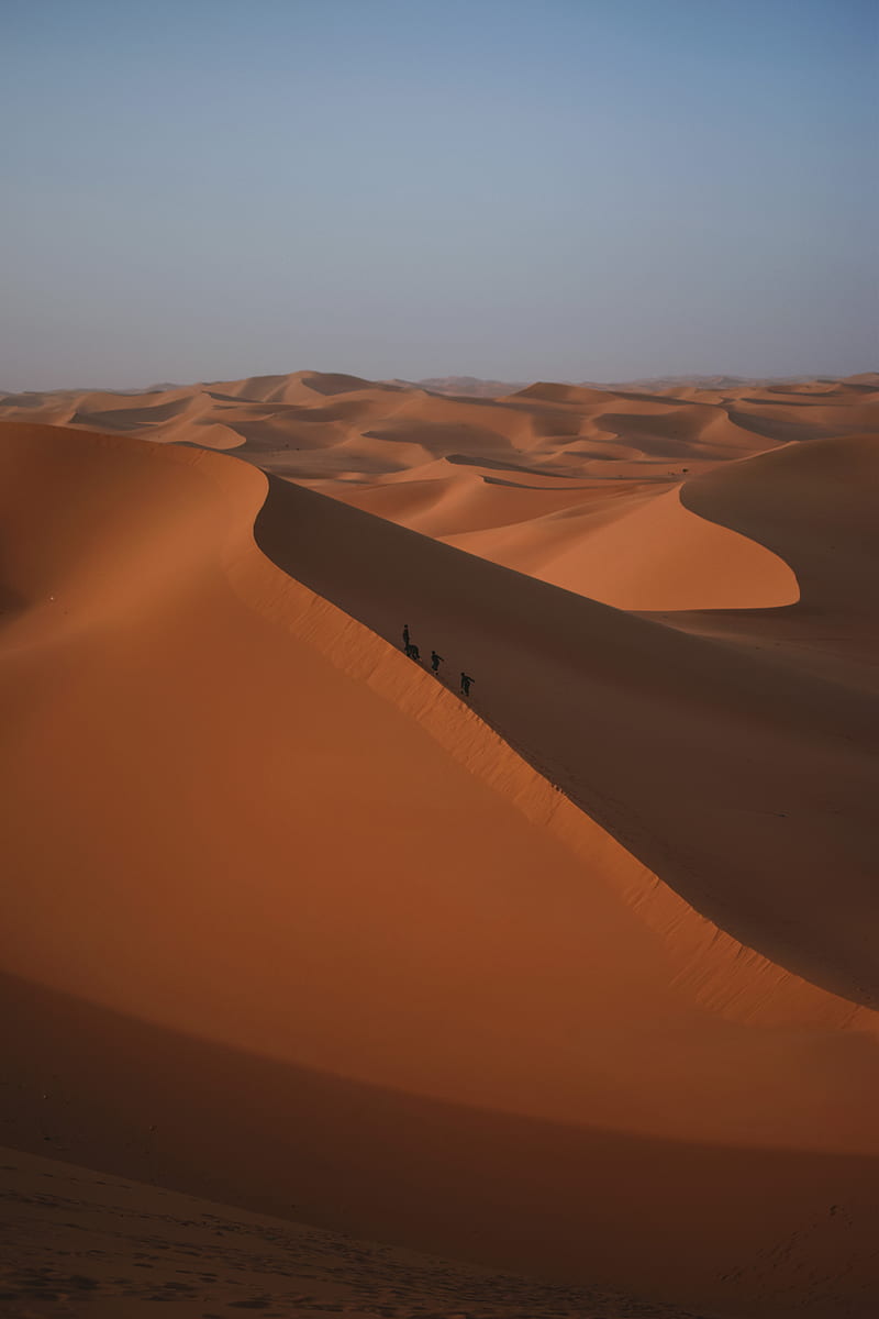 People Walking at the Desert during Day, HD phone wallpaper