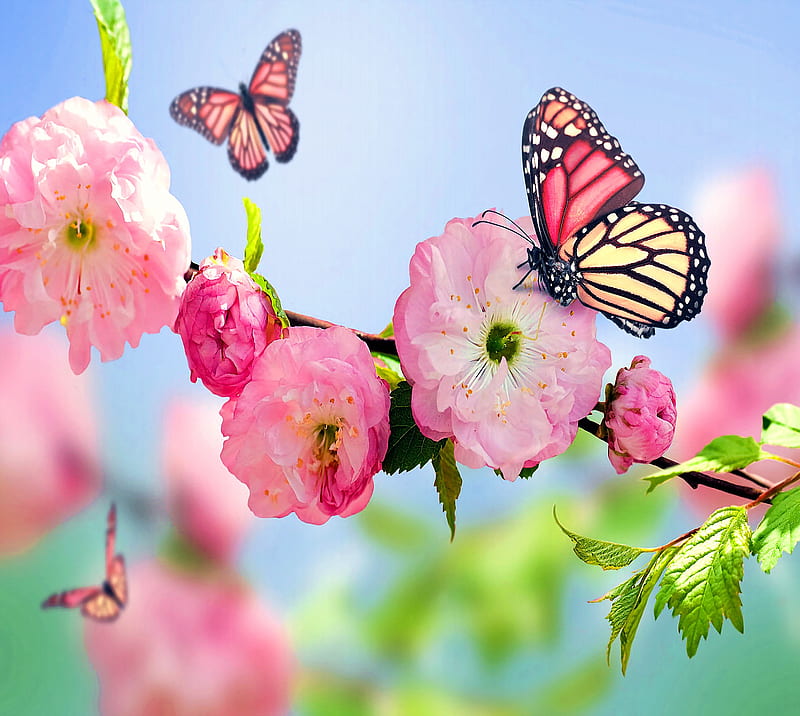 Spring, butterflies, flowers, green, nature, pink, trees, HD wallpaper ...