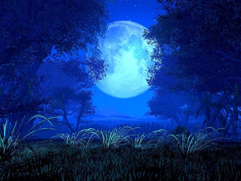 moonlight nature wallpaper