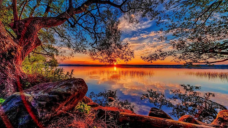 Beautiful Lakeside Sunset, colors, clouds, water, reflections, tree, HD wallpaper