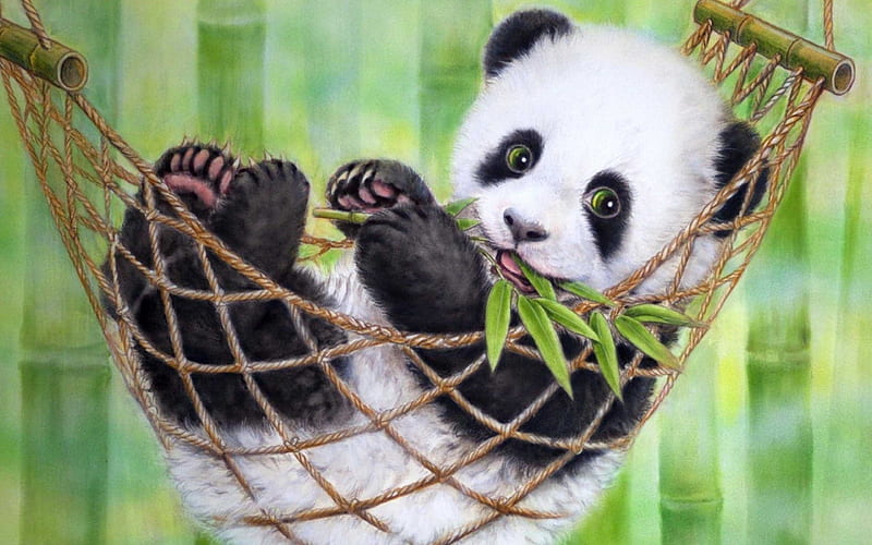 Oso panda, panda, lindas, negras, osos, blancas, graciosas, hamaca, Fondo  de pantalla HD | Peakpx