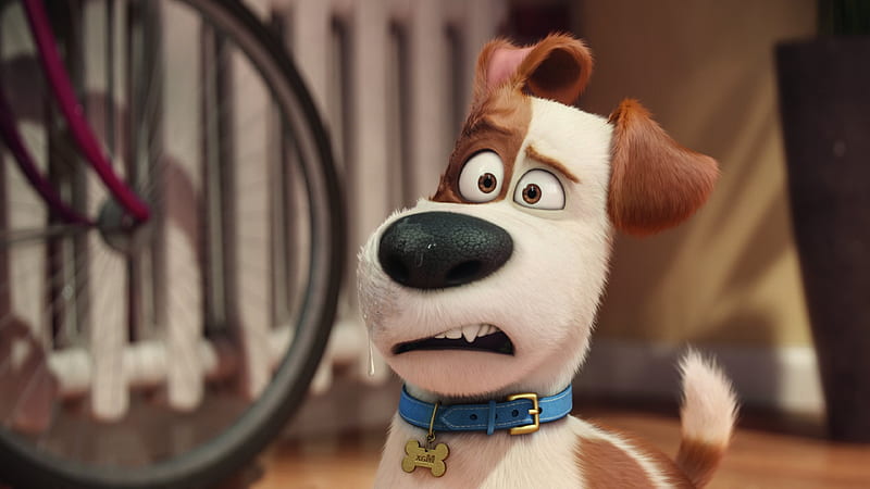 The Secrete Life of Pets Movie , the-secret-life-of-pets, movies, animated-movies, cartoons, HD wallpaper