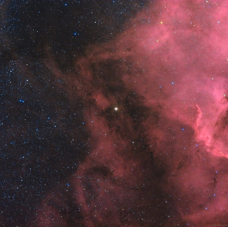 Cygnus nebula, within, shines, big, star, HD wallpaper