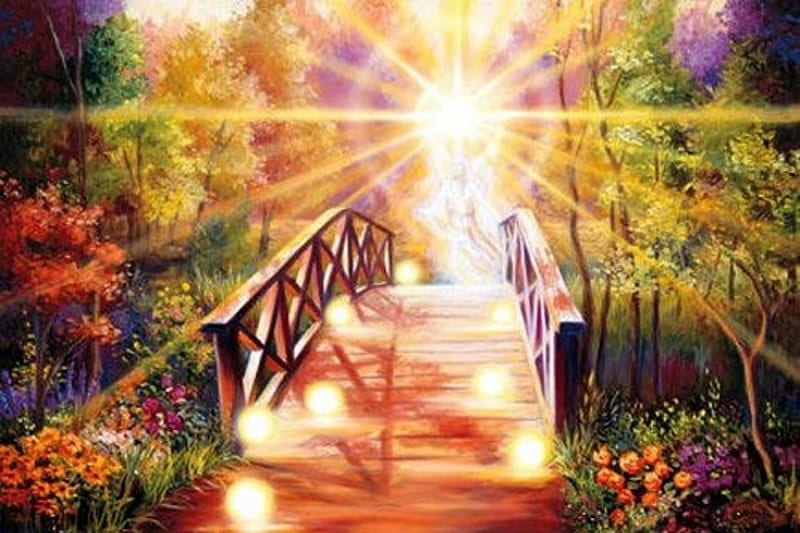Splendor of Light, sun, bridge, bright, flowers, trees, beam, HD wallpaper