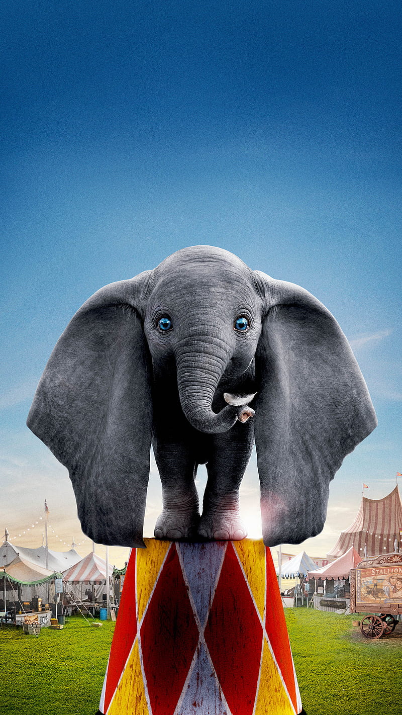 Dumbo, animals, elephants, movie, wild, HD phone wallpaper | Peakpx