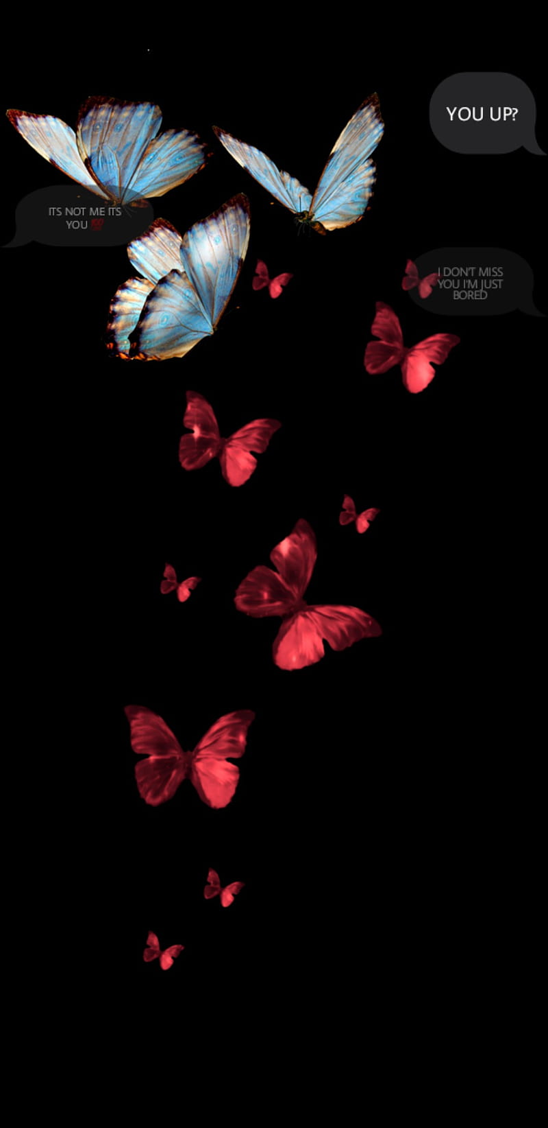 butterfly , colors, neon, HD phone wallpaper