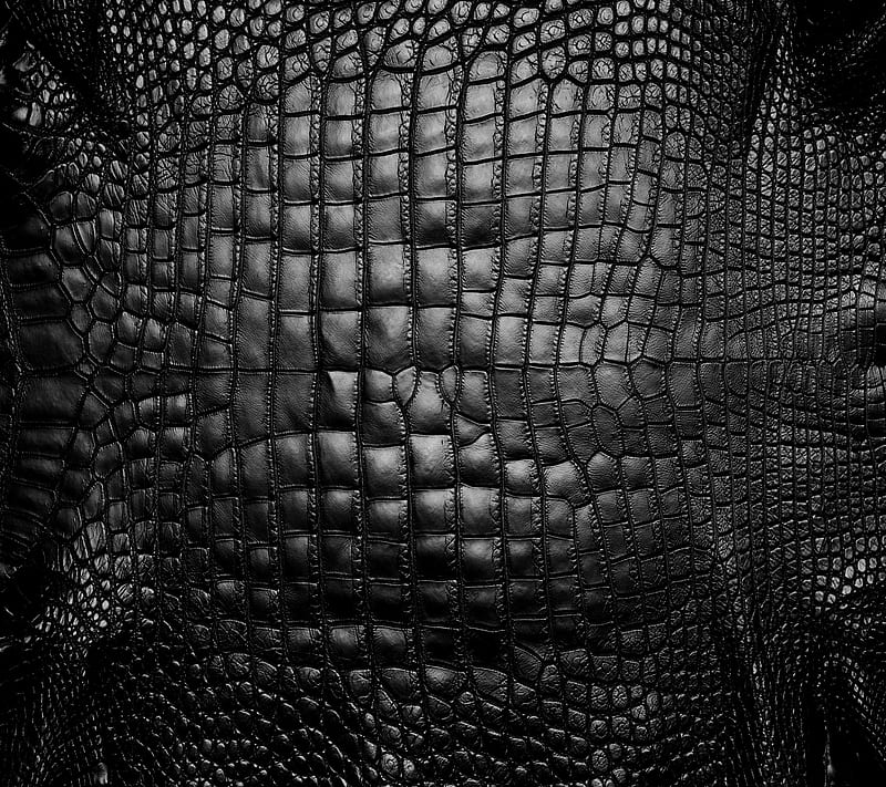 Snake Skin, black, HD wallpaper | Peakpx