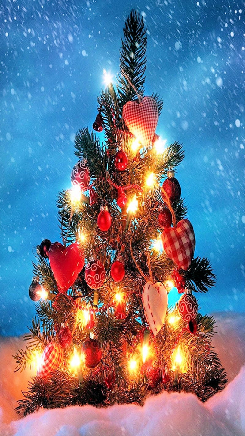 Lit Tree, christmas, lights, HD phone wallpaper
