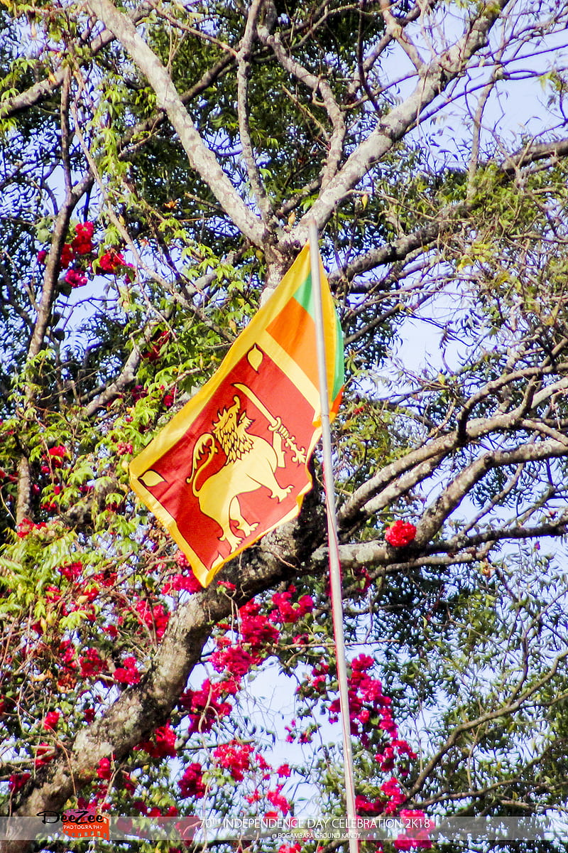 Sri Lankan Flag, flag, flags, jack, joker, kandy, sri lanka, turk, turkish, HD phone wallpaper