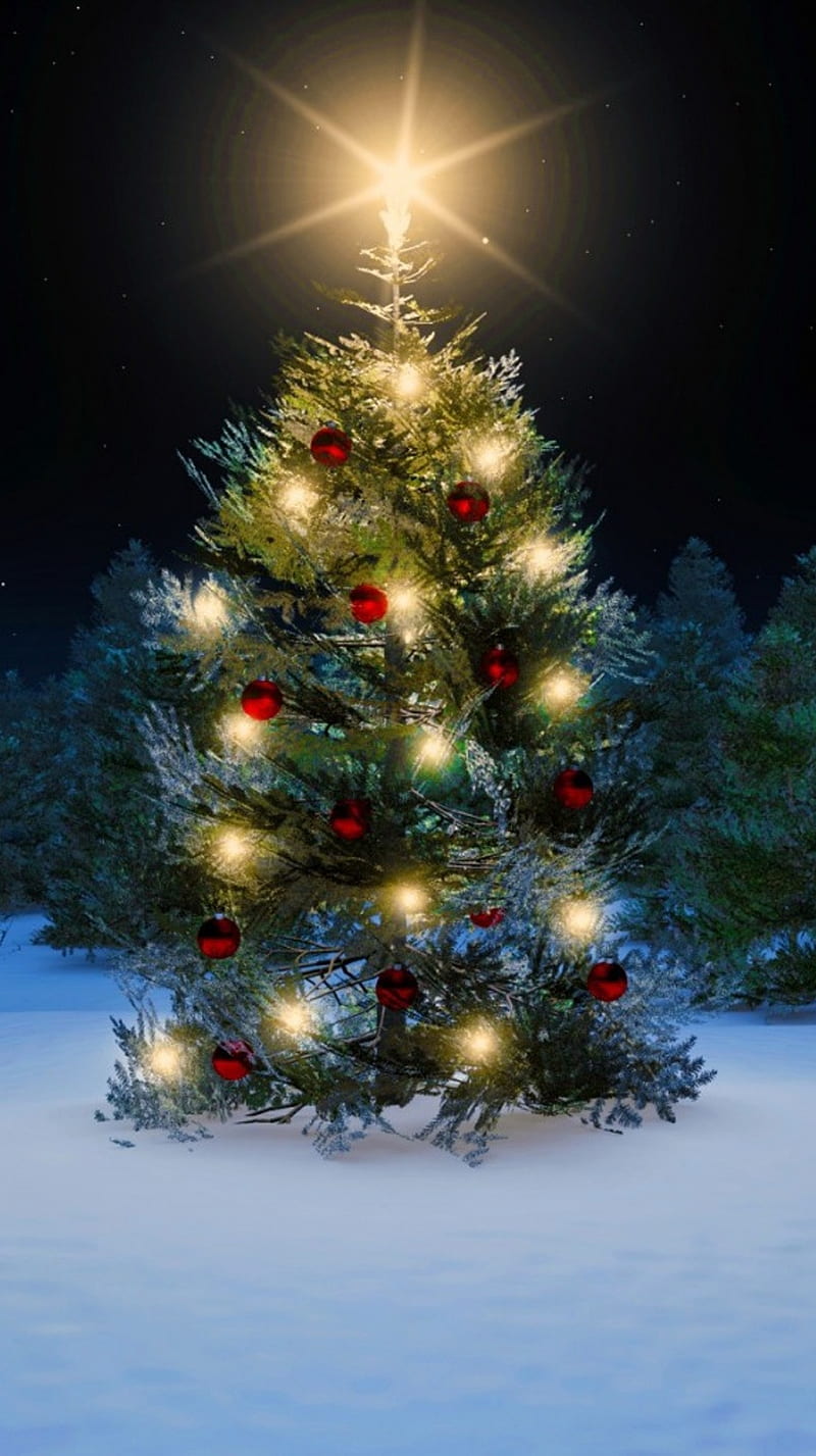 Christmas Tree, christmas, lights, time, tree, HD phone wallpaper