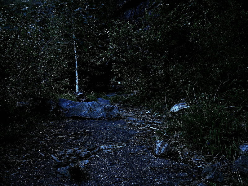 Eerie Haze - A Journey Through The Forgotten Districts, creepy, dark, path, austria, eerie, storm, wood, HD wallpaper