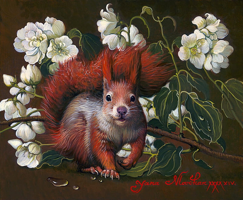 Squirrel with Jasmine, yana movchan, flower, white, animal, red, art, squirrel, veverita, jasmine, painting, pictura, HD wallpaper