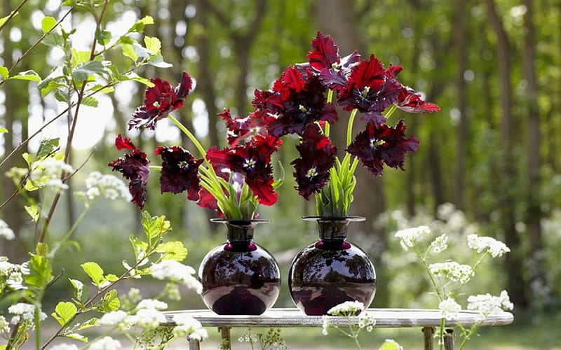 Black Parrot Tulips, black, flowers, tulips, bottle, HD wallpaper