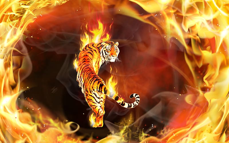 Fantasy, Fire, Flame, 3D, Tiger, Psychedelic, Cgi, Fantasy Animals, HD wallpaper