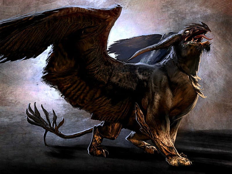 Griffin Wallpaper Download  MobCup