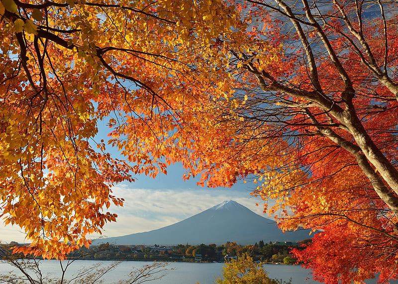Mount Fuji, Lake, Leaves, Autumn, House, HD wallpaper