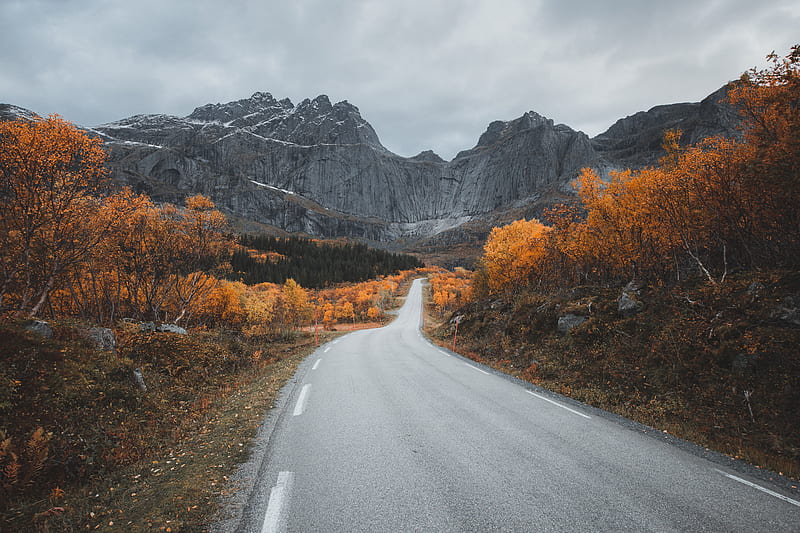 mountains, road, autumn, landscape, HD wallpaper