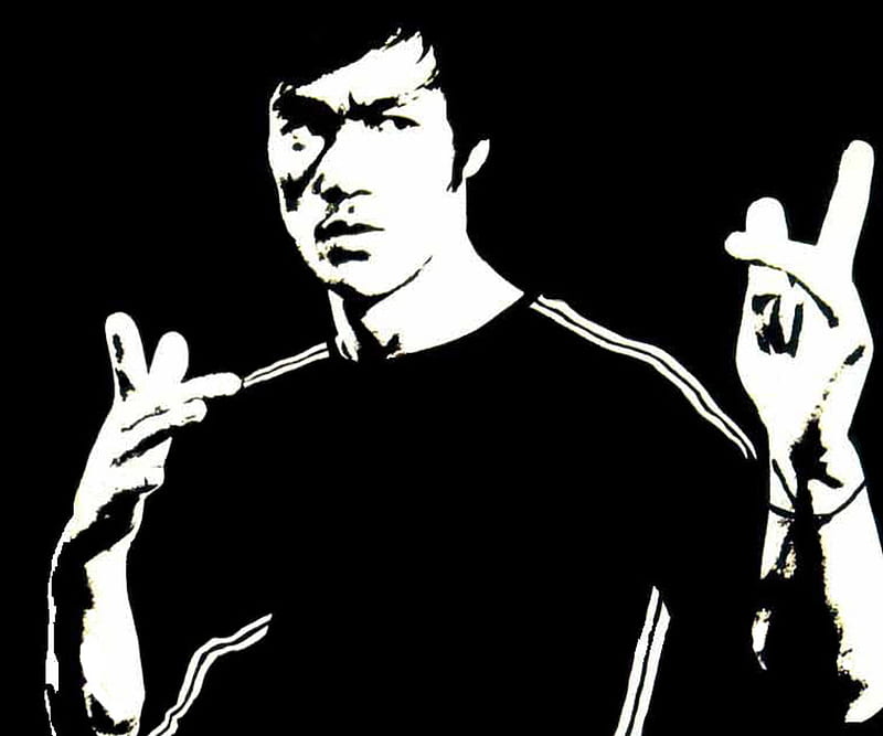 Bruce Lee, expert, kung fu, legend, martial artss, the best, HD wallpaper