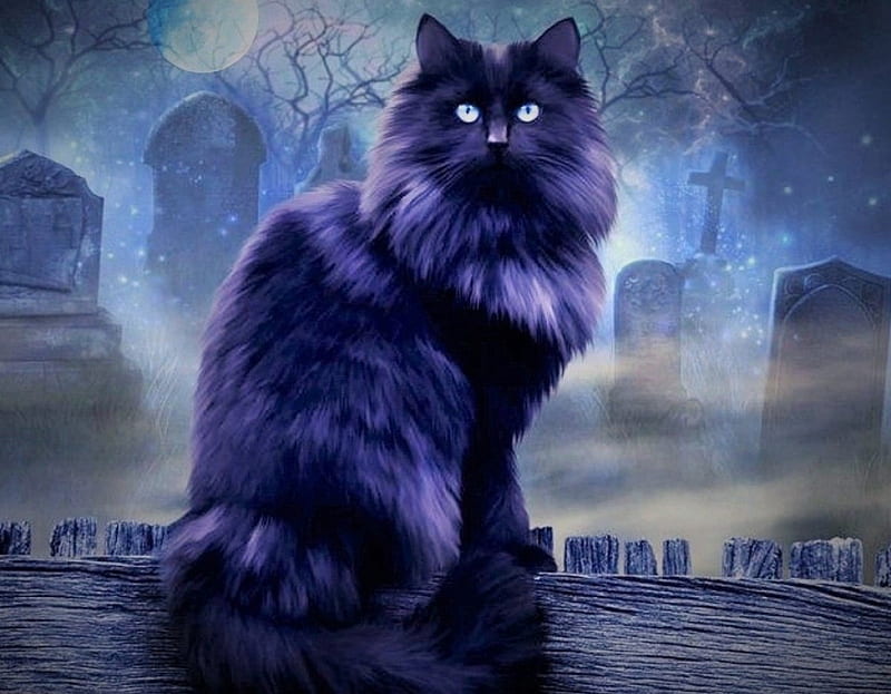 Halloween cat, mistery, terror, tomb, halloween, cat, kitten, night, HD wallpaper