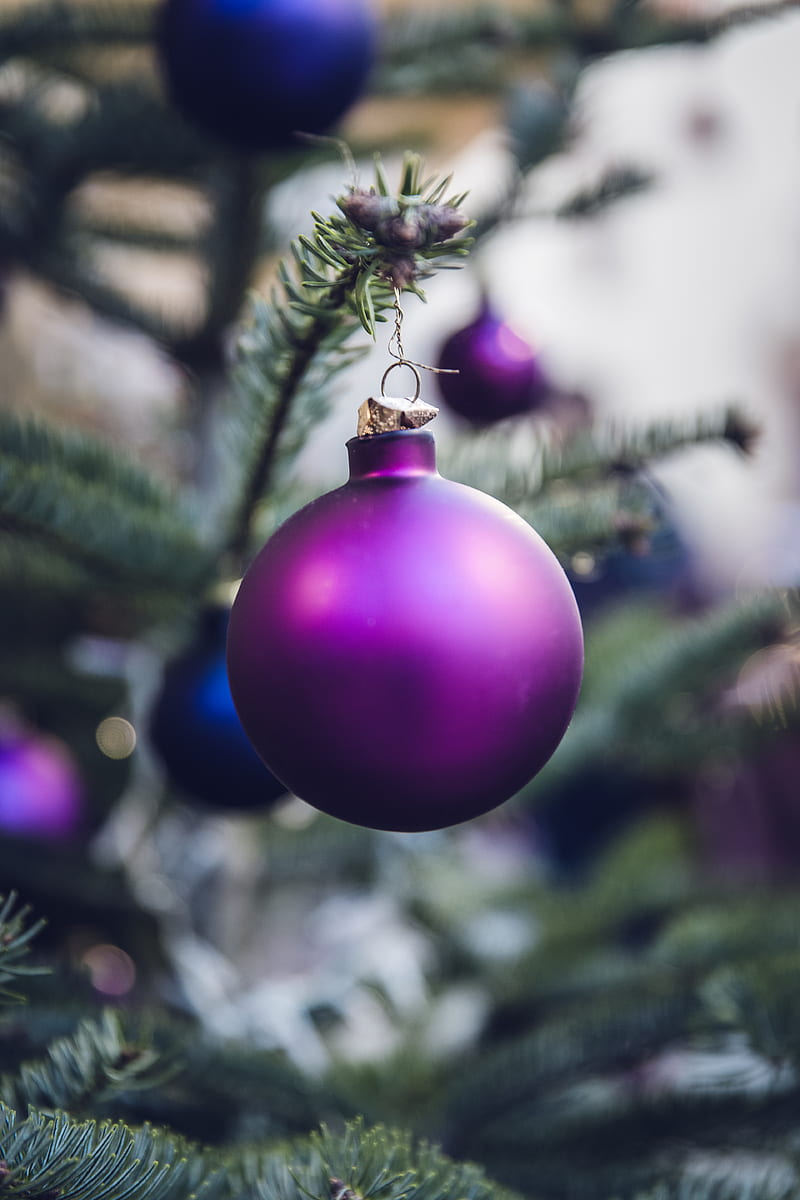 purple Christmas ball hang on Christmas tree, HD phone wallpaper