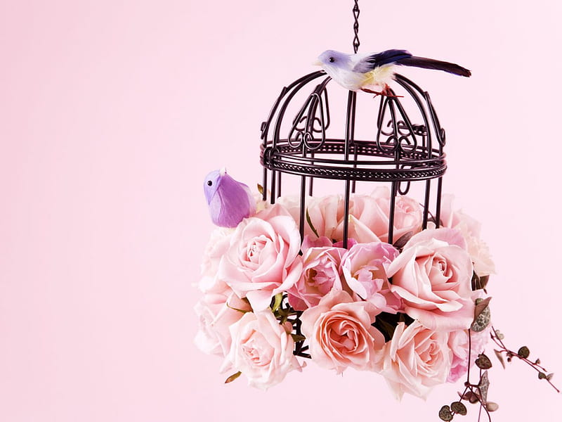 Bird Cage of Pastel Roses, still life, tiny, apricot, birds, blooms, pink, HD wallpaper