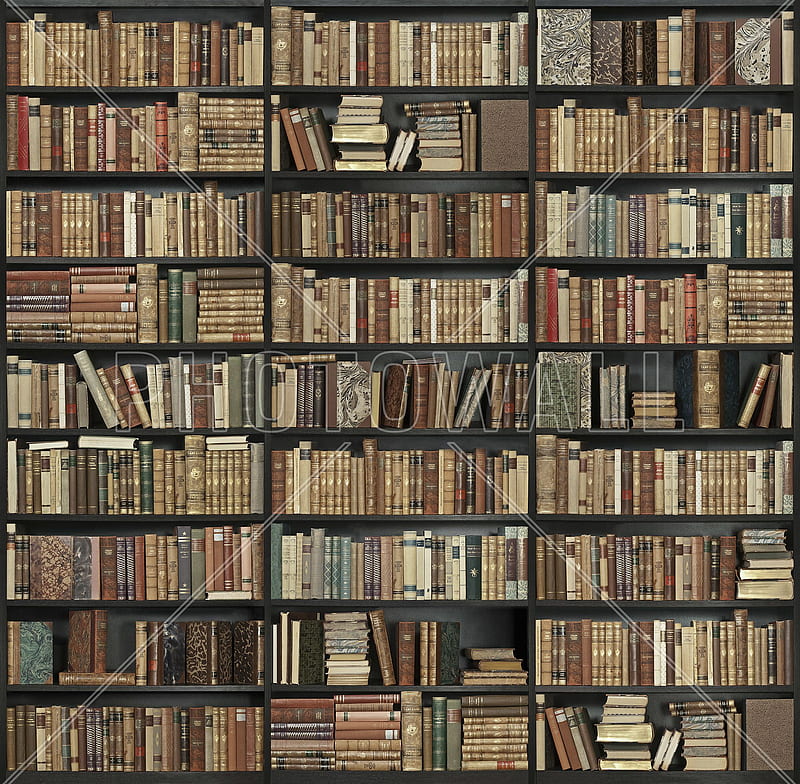Bookshelf - Black - Brown – popular wall mural. Wall murals, bookshelf,  Brown bookcase, HD wallpaper | Peakpx