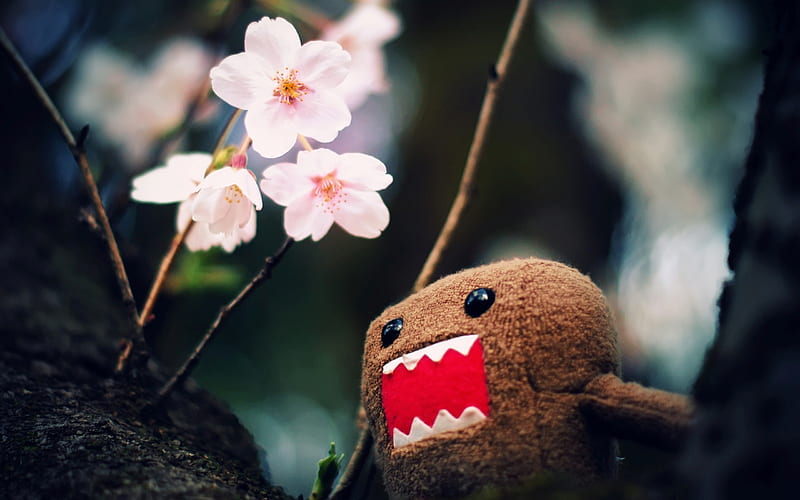 domo kun and tree blossoms-Cute funny design, HD wallpaper