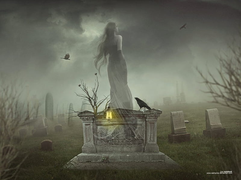 Once in a life time, raven, fantasy, cemetery, abstract, HD wallpaper |  Peakpx
