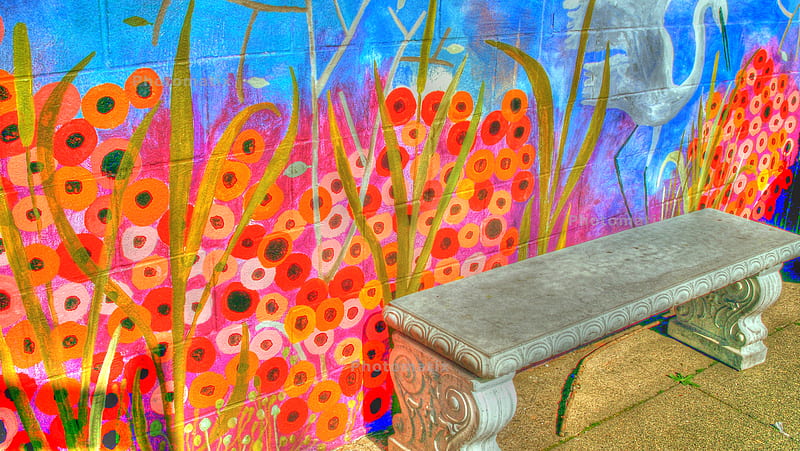 orangeflower wall, stone bench, mural, orange, blue, HD wallpaper