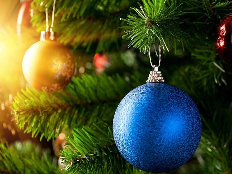 Colorful Decorations, bulbs, tree, christmas, light, HD wallpaper
