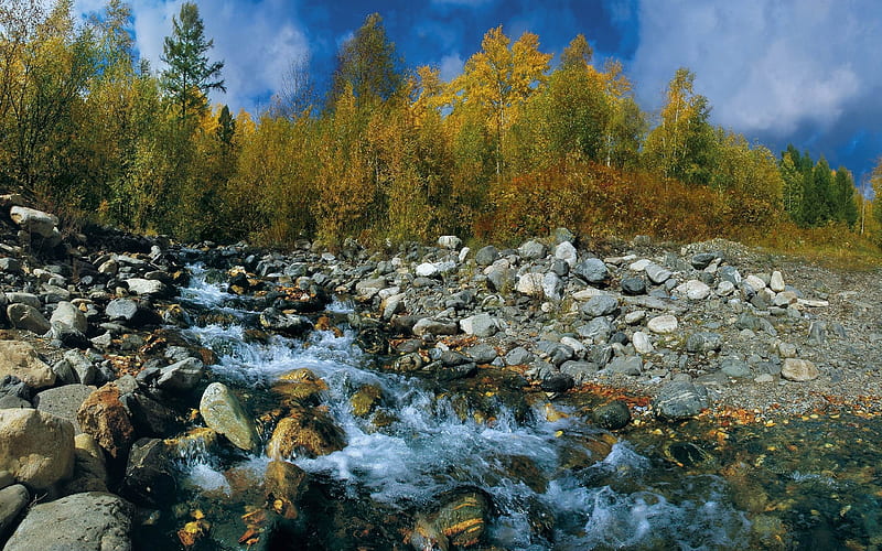 stones summer river-landscape, HD wallpaper