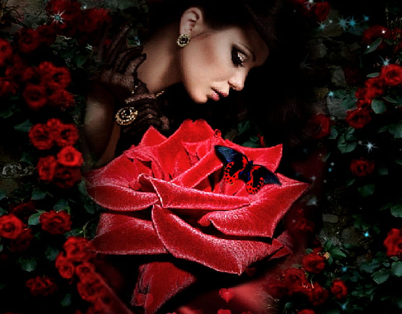 Elegant Rose and Butterfly, color on black, women are special, all things red, album, grandma gingerbread, HD wallpaper