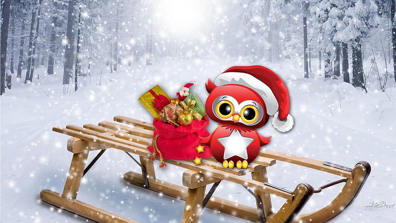 Christmas Owl, owl, Christmas, Feliz Navidad, sled, presentss, winter, sweet, whimsical, bird, snow, basket, gifts, HD wallpaper