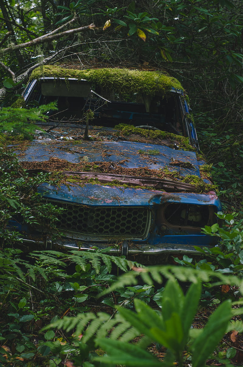 Abandoned Car, Milli, Pnw, Samsung, Sony, love, art, bonito, black, canon, chevy, derelict, ford, forest, forrest, fortnite, funny, green, iOS, iPhone, landscape, love, minions, moody, nature, graphy, sad, still, subaru, vintage, wanderlust, waterfall, weird, woods, wow, HD phone wallpaper