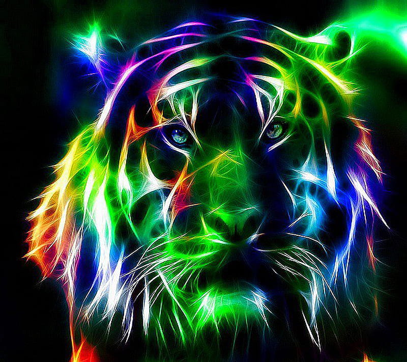 Tiger, HD wallpaper | Peakpx