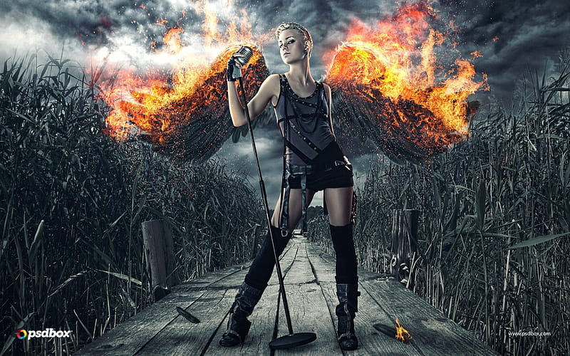 Dark angel with burning wings, wings, orange, burning, angel, black, woman, fire, fantasy, girl, dark, HD wallpaper