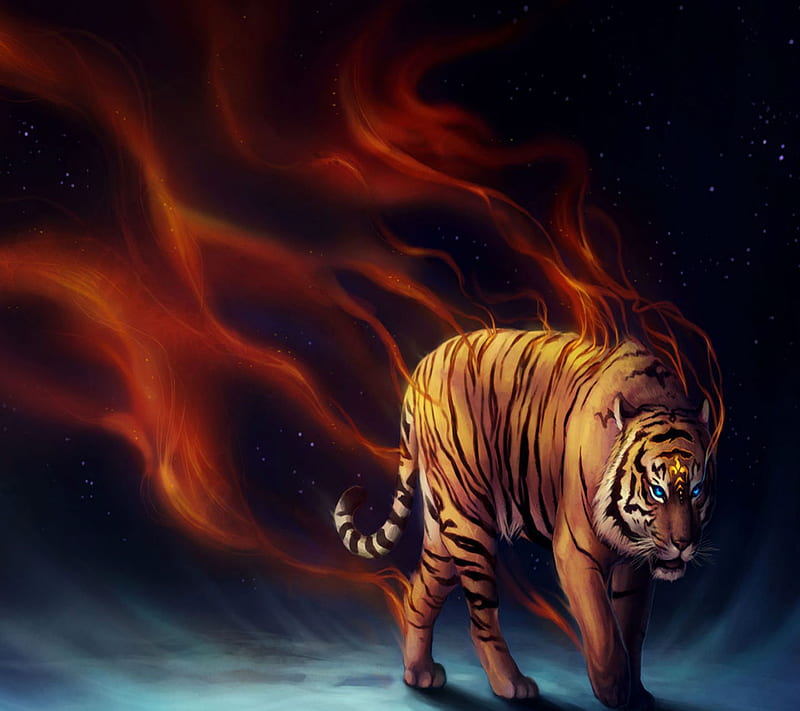 Fire Tiger, 2014, background, cool, desenho, fire new, nice, tiger, view, HD  wallpaper | Peakpx