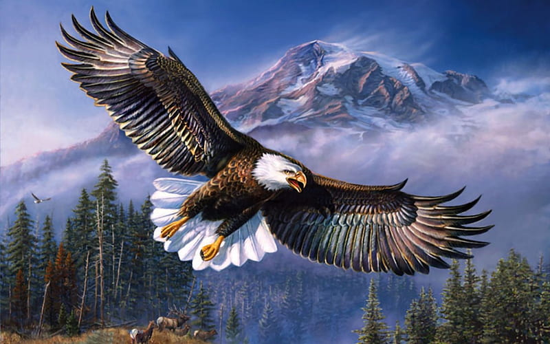 Eagle in Flight F2Cmp, art, flight, eagle, artwork, animal, bird, avian, painting, wide screen, wildlife, raptor, HD wallpaper